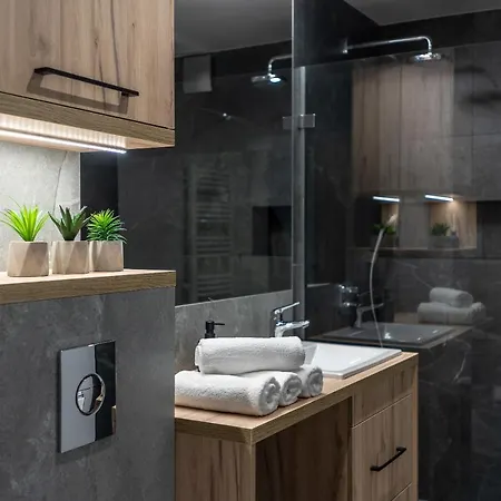 アパート Widok 1 ピエホビツェ