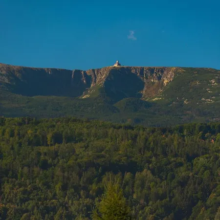 Widok 1 *